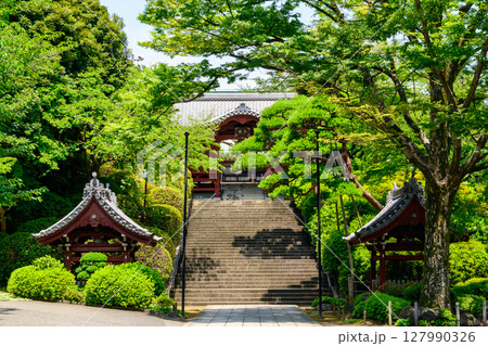 東京都　護国寺（ごこくじ）　不老門 127990326