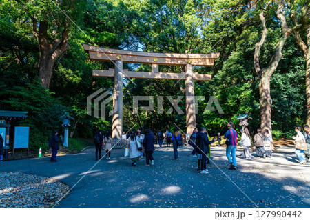 【東京都】豊かな自然に囲まれた明治神宮 127990442