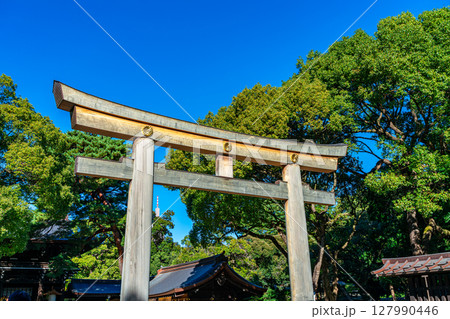 【東京都】豊かな自然に囲まれた明治神宮 【東京都】豊かな自然に囲まれた明治神宮 127990446