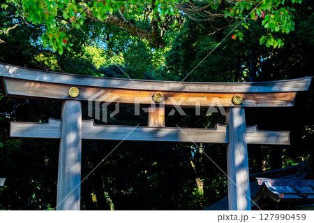 【東京都】神聖な雰囲気が漂う明治神宮 127990459