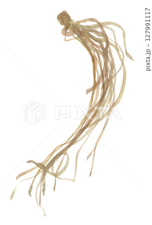 水彩で描いたリンドウリンドウの根 竜胆 水彩で描いたリンドウリンドウの根 竜胆 127991117