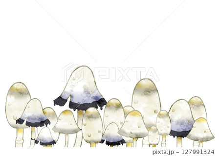 ササクレヒトヨタケ 127991324