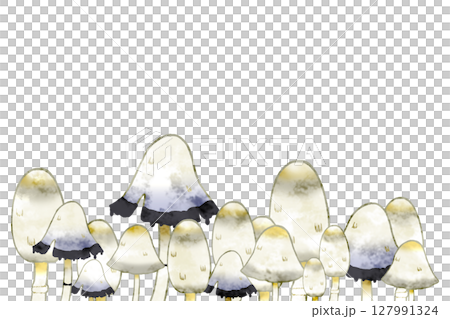 ササクレヒトヨタケ 127991324