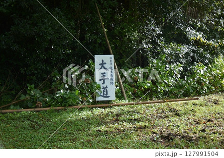宮崎市 佐土原城(山城)の風景 宮崎市 佐土原城(山城)の風景 127991504