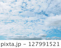 ひつじ雲　鮮やかに輝く空とともに 127991521