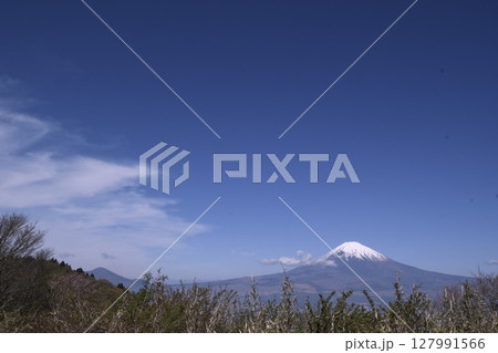 長尾峠から見た富士山 127991566