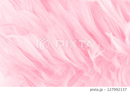 Beautiful soft pink bird feathers pattern texture background. 127992137