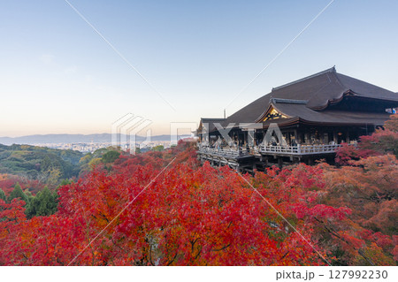 秋の京都 朝の清水寺 清水の舞台と紅葉 秋の京都 朝の清水寺 清水の舞台と紅葉 127992230