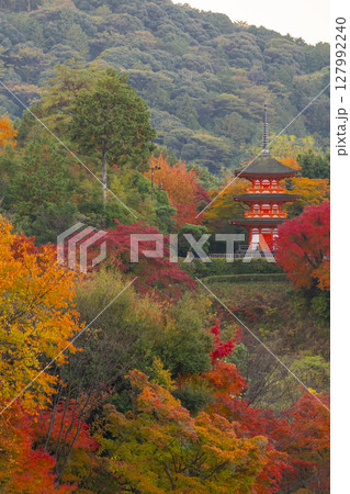 秋の清水寺 紅葉に包まれた子安塔 秋の清水寺 紅葉に包まれた子安塔 127992240