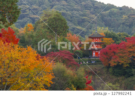 秋の清水寺　紅葉に包まれた子安塔 127992241
