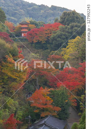 秋の清水寺　紅葉に包まれた子安塔 127992243