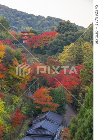 秋の清水寺 紅葉に包まれた子安塔 秋の清水寺 紅葉に包まれた子安塔 127992245