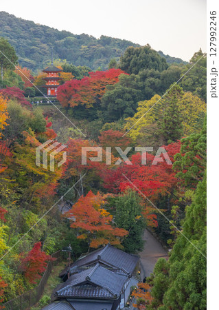 秋の清水寺 紅葉に包まれた子安塔 秋の清水寺 紅葉に包まれた子安塔 127992246