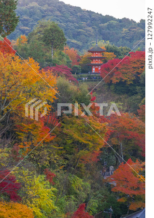 秋の清水寺　紅葉に包まれた子安塔 127992247
