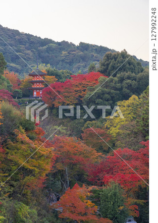 秋の清水寺　紅葉に包まれた子安塔 127992248