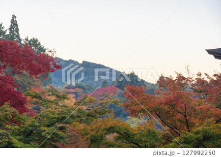 秋の清水寺　紅葉に包まれた子安塔 127992250