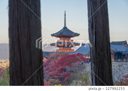 秋の清水寺 木々の隙間から見える三重塔と本堂 秋の清水寺 木々の隙間から見える三重塔と本堂 127992253