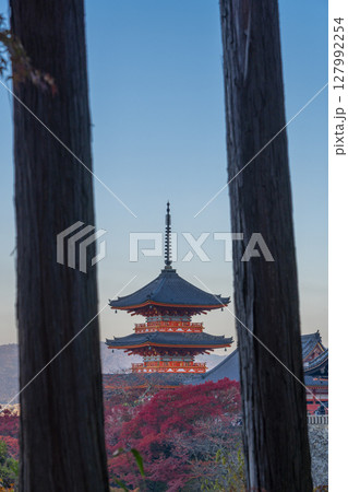 秋の清水寺　木々の隙間から見える三重塔 127992254