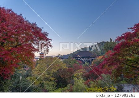 紅葉の季節　清水寺　本堂と三重塔 127992263