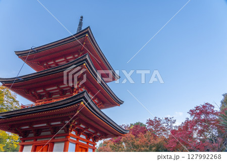 紅葉の季節　清水寺　子安塔 127992268