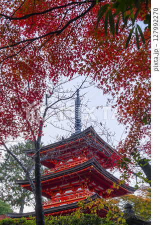 紅葉の季節 清水寺 子安塔 紅葉の季節 清水寺 子安塔 127992270