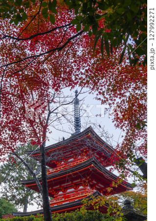 紅葉の季節　清水寺　子安塔 127992271