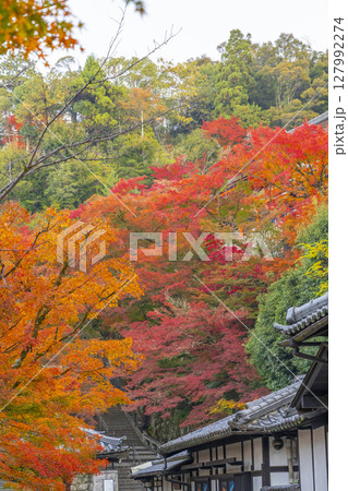 紅葉の季節　清水寺　境内 127992274