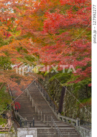 紅葉の季節 清水寺 境内 紅葉の季節 清水寺 境内 127992277