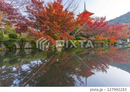 紅葉に包まれた秋の清水寺の三重塔 リフレクション 紅葉に包まれた秋の清水寺の三重塔 リフレクション 127992283
