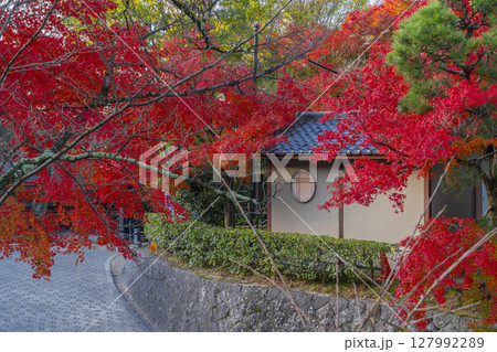紅葉に包まれた秋の清水寺の境内 127992289