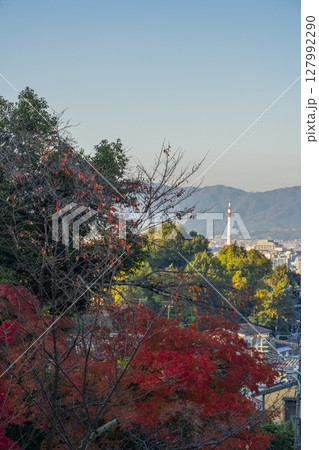 紅葉に包まれた秋の清水寺から見える京都タワー 127992290