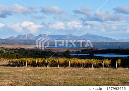 Beautiful view - Apslawn, Tasmania, Australia Beautiful view - Apslawn, Tasmania, Australia 127992436