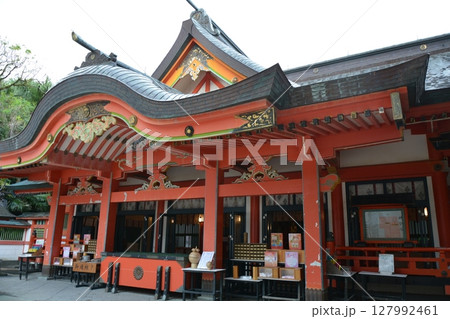 宮崎県　青島神社の風景 127992461