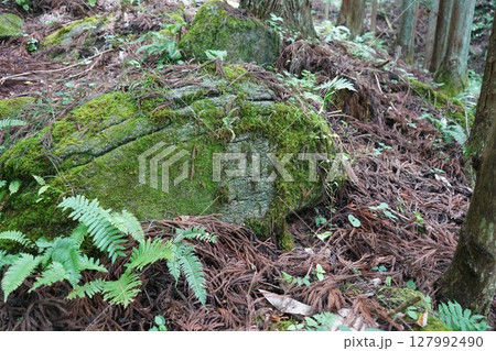 遠野の五百羅漢 127992490