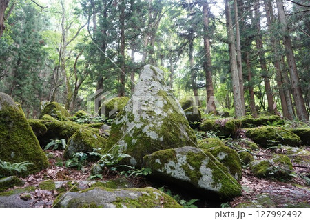 遠野の五百羅漢 127992492