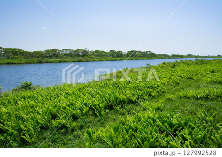 サロベツ原野　長沼風景 127992528