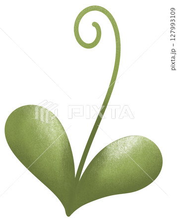 drawing leaf of green plant isolated drawing leaf of green plant isolated 127993109