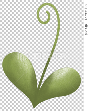 drawing leaf of green plant isolated drawing leaf of green plant isolated 127993109