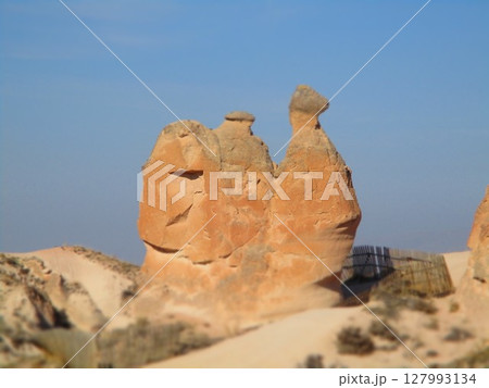 トルコ　カッパドキア　デヴレント渓谷　ラクダ岩　ジオラマ風 127993134