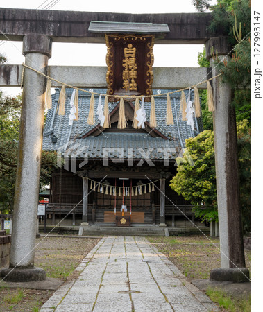 白根神社の鳥居と本殿 127993147