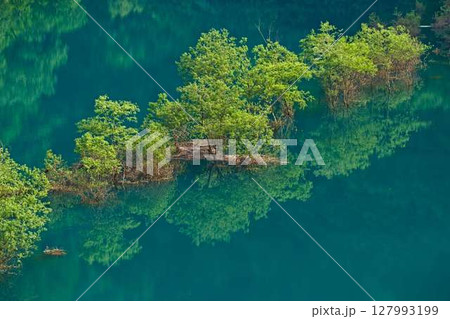 秋扇湖に映える水没林 127993199