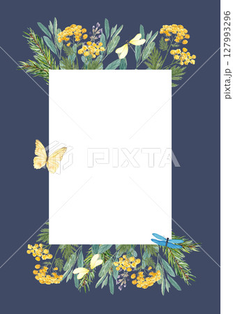 Tansy, sage, fir branches, butterflies, and dragonflies watercolor frame on dark blue background. Rectangle white center for text. Rustic botanical template for invitations, cards, branding. Vertical 127993296