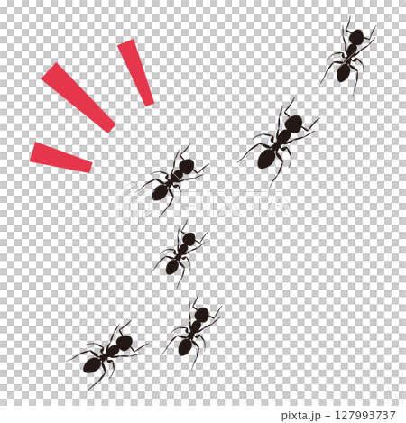 アリの行列のイラスト 127993737