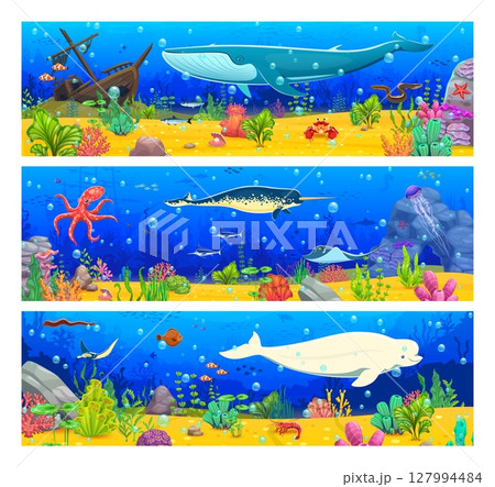 Game ocean underwater background with cartoon sea animal characters, algae seaweeds, sunken ship and rocks, coral reefs and sand bottom. Underwater panoramic background with whale, narwhal and beluga Game ocean underwater background with cartoon sea animal characters, algae seaweeds, sunken ship and rocks, coral reefs and sand bottom. Underwater panoramic background with whale, narwhal and beluga 127994484