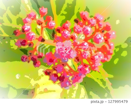 ハート形のシモツケの花（afr20250629055133） 127995479