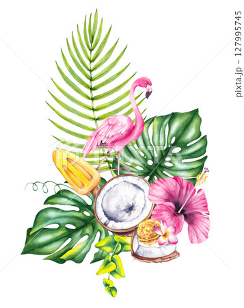 Tropical Summer Flamingo Illustration Collection 127995745