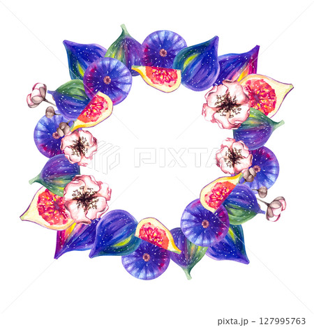 Fig Plant Watercolor Illustration Collection 127995763