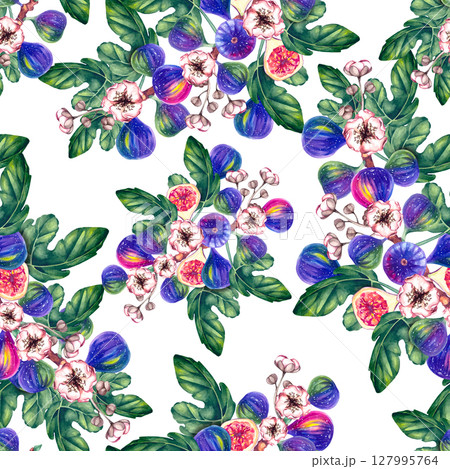 Fig Plant Watercolor Illustration Collection 127995764