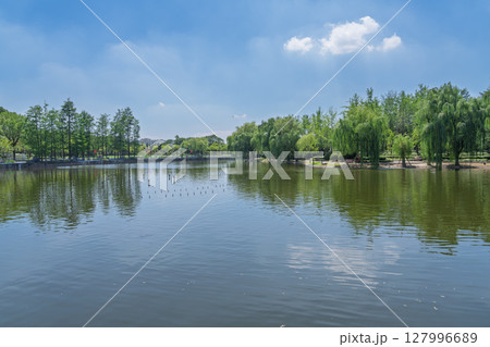 反射 反映 影 127996689