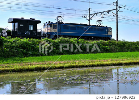 水田地帯を走る東北本線下り臨時貨車 EF65 127996922